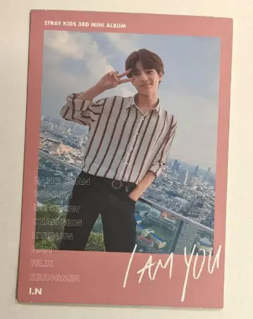 StrayKids I AM YOU I.N 트레이딩 카드 폴라로이드