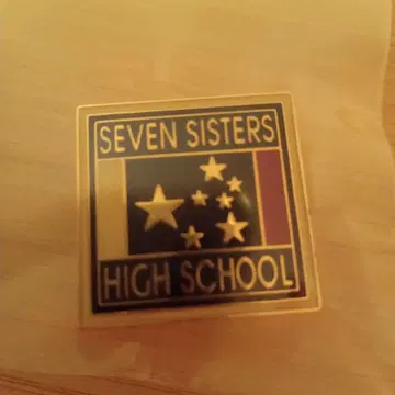 페르소나 2 칠자매학원 학교 휘장 핀 배지