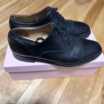 스코치 그레인 SCOTCH GRAIN 스트레이트 팁 26.5cm