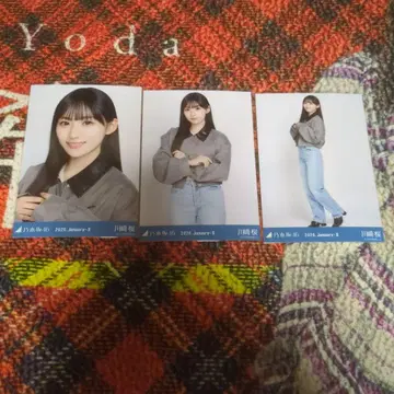 노기자카46 크롭 자켓 카와사키 벚꽃