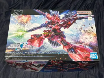 HG 1/144 겔구그 메나스 루나 마리아