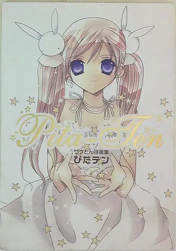 미디어웍스 D 셀렉션 코게돈보 피타텐 코게돈보 화집