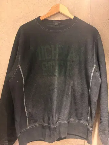 Champion Reverse Weave MICHIGAN STATE