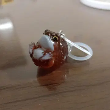 초레어 도색 미스 만마루 개구리 클리어 메지루시 가챠 마스코트