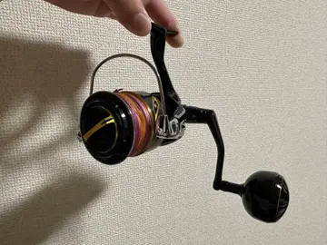 SHIMANO 20 STELLA SW 6000HG