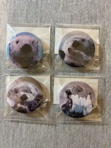 도바 수족관 랏코 메이 키라 캔 마그넷 x 4