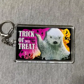 도바 수족관 메이 키라 할로윈 키링 메이