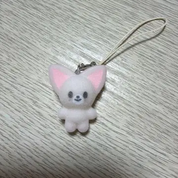 스키즈 6기 팬미팅 SKZOO 시크릿 미니 참 아이엔 폭시니