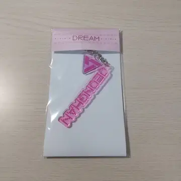 SEVENTEEN 세부치 dream 팝업 정한 키링