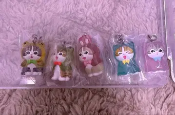 모프 샌드 메지루시 액세서리 컴프 세트