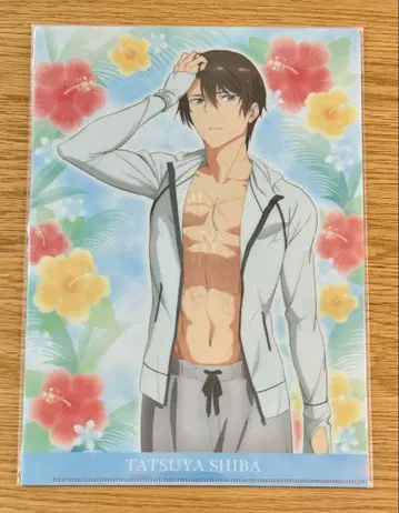 마법과 고등학교의 열등생 대시 스토어 클리어 파일 세트