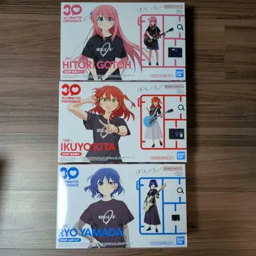 30 MINUTES PREFERENCE 봇치 더 록!