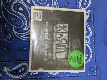 Korn Greatest Hits Vol. 1 미개봉