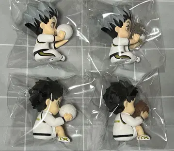 하이큐!! Hide&Seek 숨바꼭질 부엉이 계학원