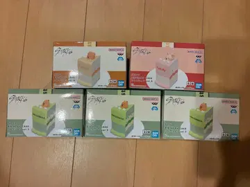 SKZOO BIRTHDAY CAKE 컬렉션 5개 세트