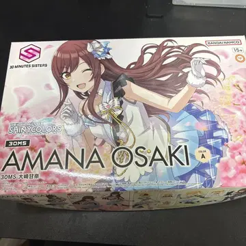 30MS 오사키 아나나 피규어
