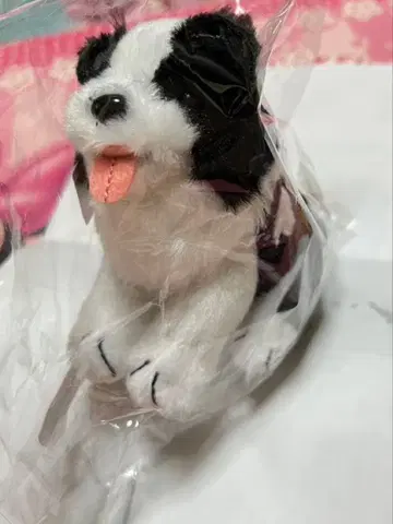 sumika 이로하 봉제 인형 키링