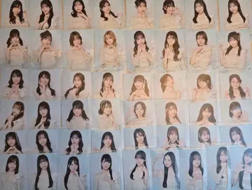 AKB48 마지막 벚꽃 OS반 브로마이드 컴프 48장