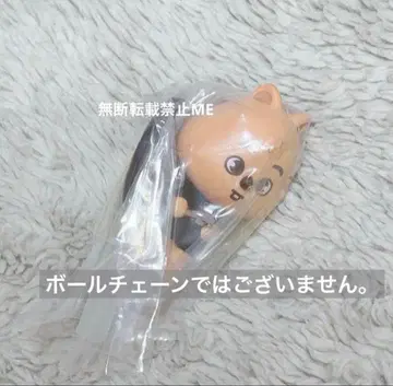 SKZOO 카니칸 스키즈 한 쿼카