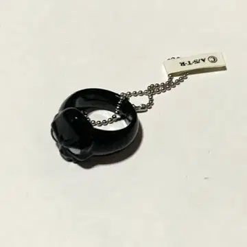 가정교사 히트맨 REBORN 리본 C.A.I 반지 고쿠데라 하야토