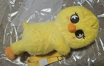 SKZOO PULSH BAG BbokAri 보가리