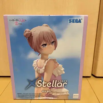 그 비스크 돌은 사랑을 한다 XStellar 이누이 사쥬카 피규어