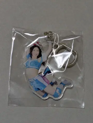 도쿄 여자 프로레슬링 가챠가챠 아크릴 키링 후죠 하르