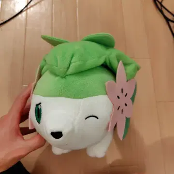 쉐이미 랜드 형태 봉제 인형