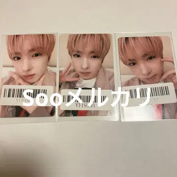 NCTWISH 사쿠야 kms 트레이딩 카드