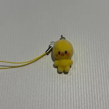 스트레이 키즈 한국 본국 팬미팅 SKZOO 참 필릭스