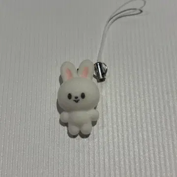 스트레이 키즈 한국 본국 팬미팅 SKZOO 참 리노