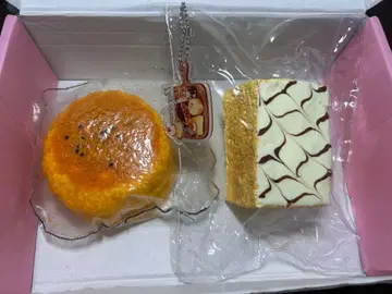 daydream kikisquishy 사쿠사쿠 스퀴즈 묶음 판매