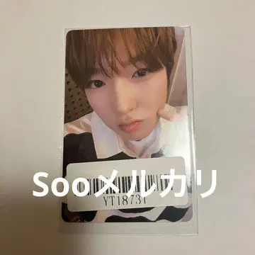 NCTWISH 사쿠야 kms 트레이딩 카드