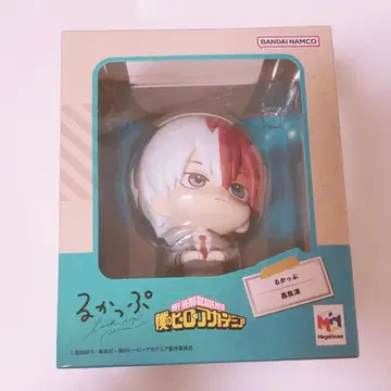 히로아카 토도로키 쇼토 룩업