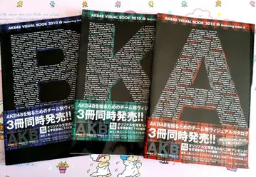 AKB48 비주얼 북 2010 3권 묶음 판매 브로마이드 포함