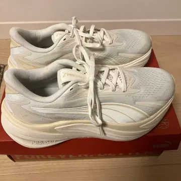 푸마 맥시마 프로 MAXIMA PRO 알펜 스포츠 디포 한정판