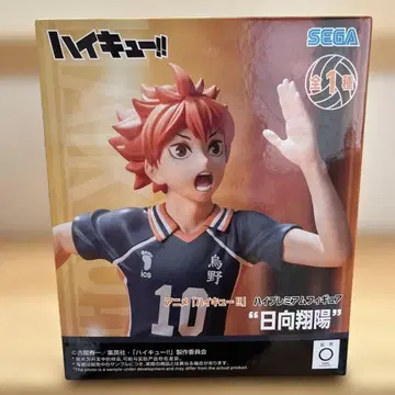 새상품 하이큐 히나타 쇼요 피규어
