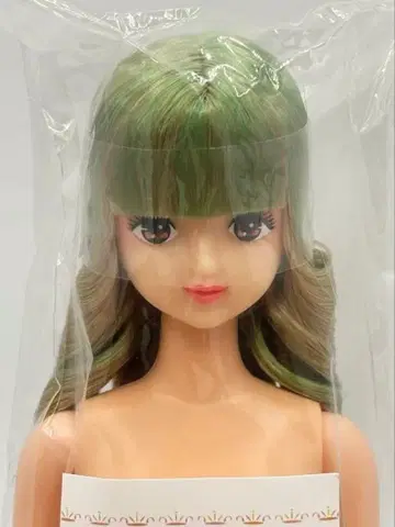 카오리짱 리카짱 캐슬 즐거운 인형 그린골드 계열 제니 프렌드