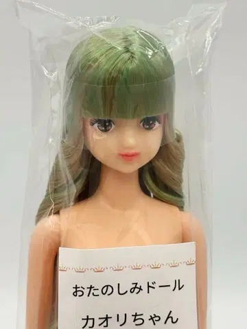 카오리짱 리카짱 캐슬 즐거운 인형 그린골드 계열 제니 프렌드