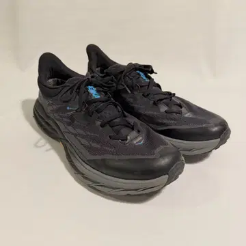 HOKA ONE ONE SPEEDGOAT 5 GORE-TEX 30cm