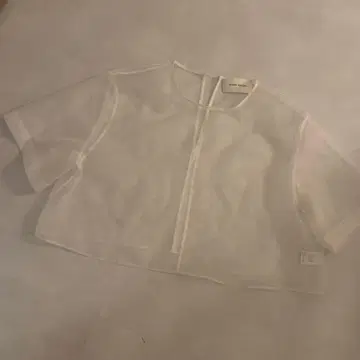 AEWEN MATOPH 오간자 숏 슬리브 블라우스