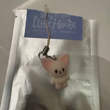 Skzoo STRAYKIDS 한국 팬미팅 참 아이엔 폭시니