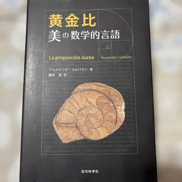 황금비 미의 수학적 언어: 피라미드