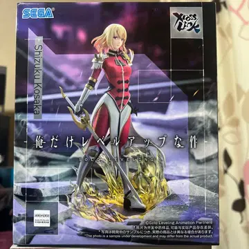 시즈쿠 코사카 나 혼자만 레벨업