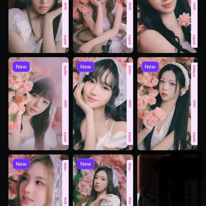 Triples Cherry Blossom Yubin Set | Bunjang Global