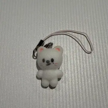 stray kids 한국 본국 팬미팅 SKZOO 참 현진