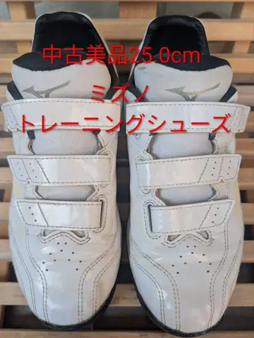 미즈노 트레이닝 슈즈 25.0cm