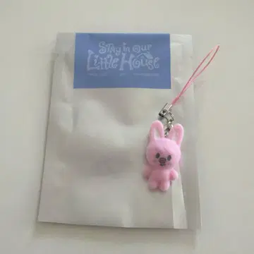 스키즈 미니 참