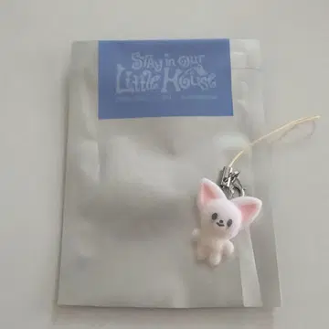 스키즈 미니 참 아이엔