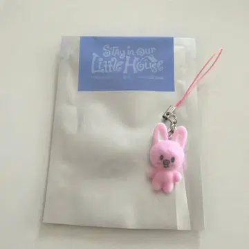 스키즈 미니 참 창빈